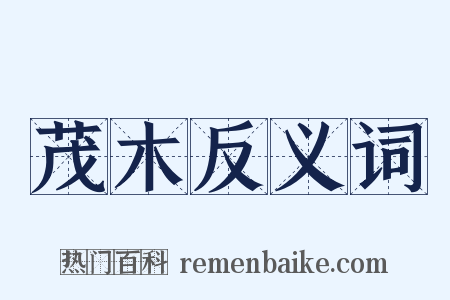 茂木反义词是什么意思的图片